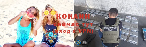 гидра Белоозёрский